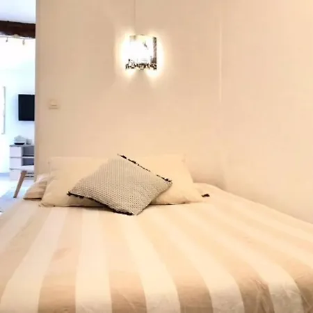 78 Rue Meynadier Plage, Lions Festival 3 Minutes A Pieds Apartment